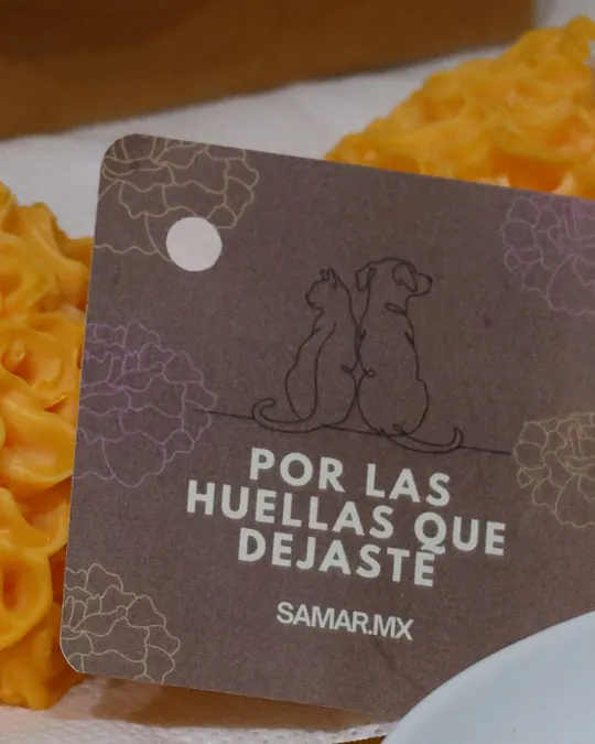 Tarjeta de Samar.mx con un perro y un gato dibujados y el texto Por las huellas que dejaste